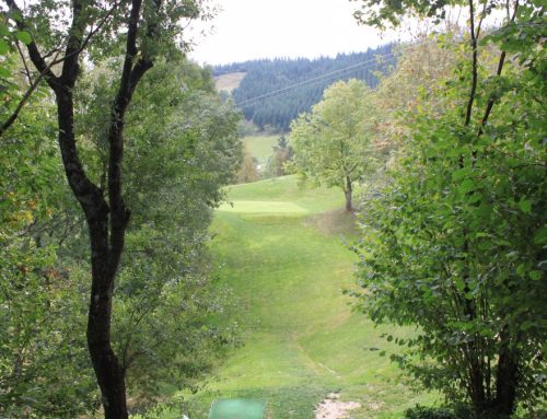 X Campeonato Infantil de Gipuzkoa Pitch & Putt